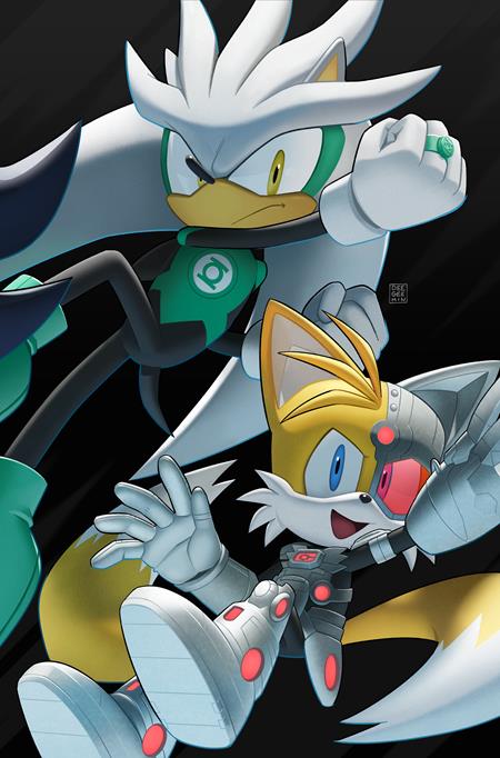 DC X SONIC THE HEDGEHOG #2 (OF 5)