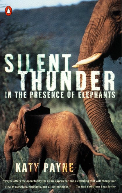 Silent Thunder
