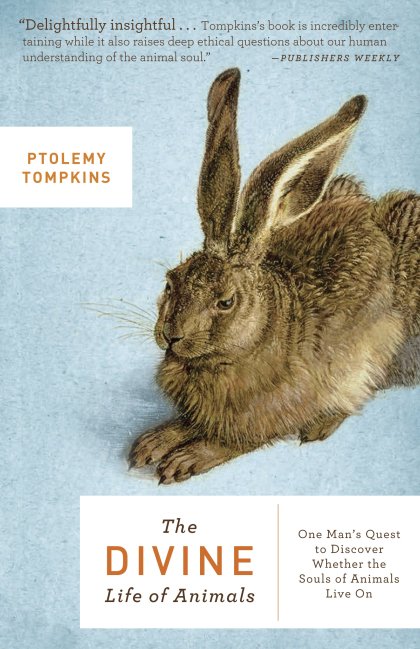 The Divine Life of Animals