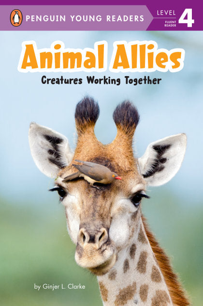 STANDARD
