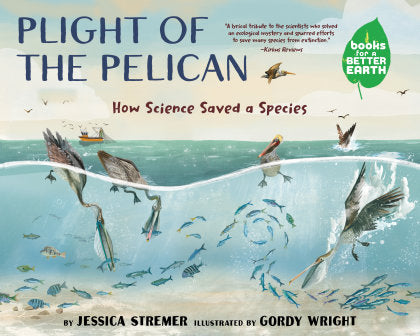 Plight of the Pelican