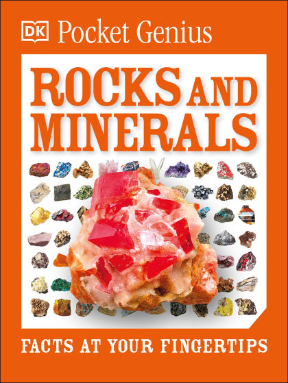 Pocket Genius Rocks and Minerals