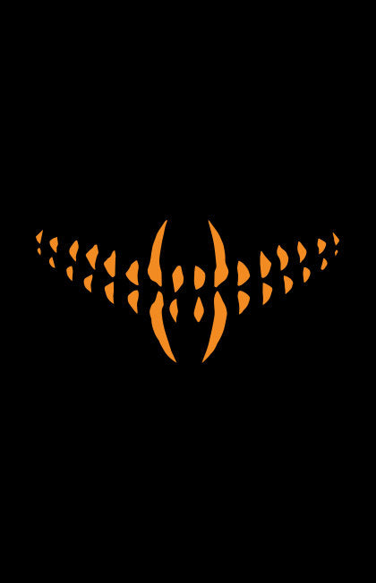 Something is Killing the Children Book Two Deluxe Edition Slipcased Edition