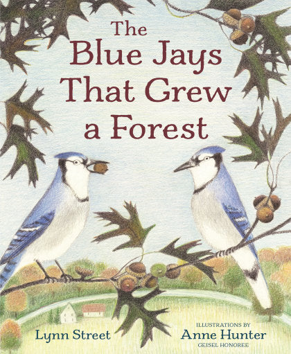 The Blue Jays That Grew a Forest
