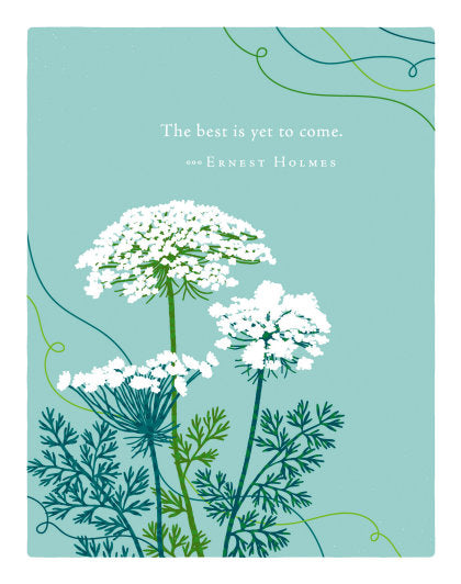 Positively Green Greeting Cards: Wedding - The best is yet to come (Pack of 6)