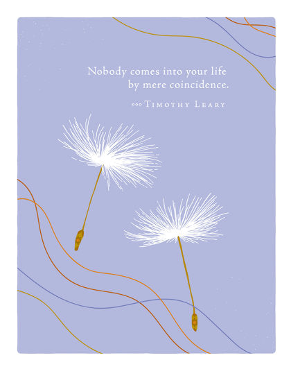 Positively Green Greeting Cards: Thank You - Nobody comes into your life by (Pack of 6)