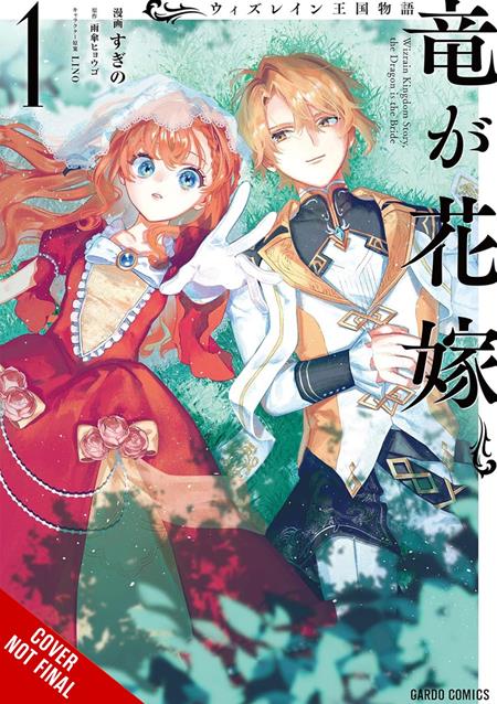 TALE OF THE WIZRAIN KINGDOM THE DRAGON IS THE BRIDE VOL. 1