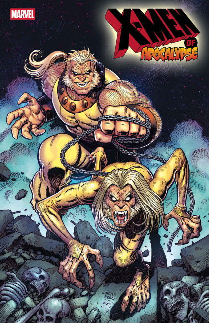 CVR 4 ARTHUR ADAMS VARIANT (2026-01-21)