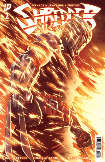 Teenage Mutant Ninja Turtles: Shredder #2