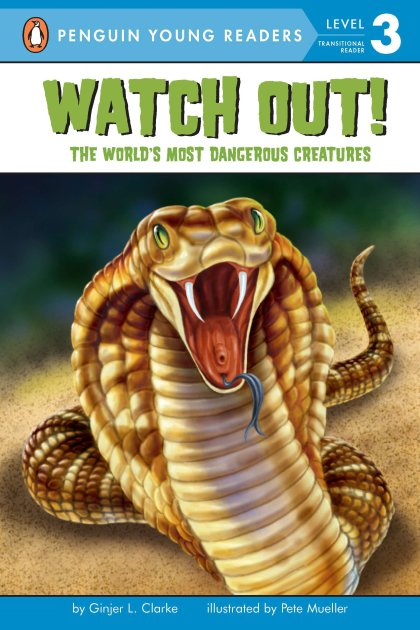 STANDARD