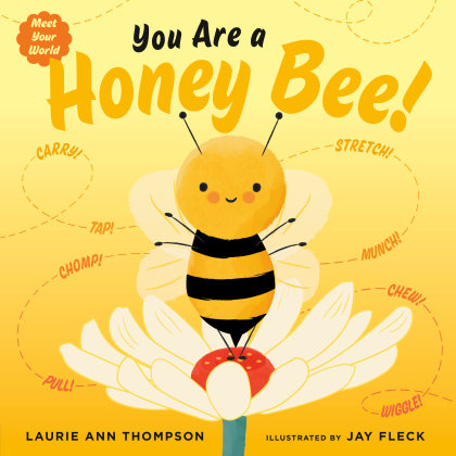STANDARD