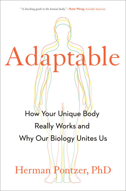 Adaptable
