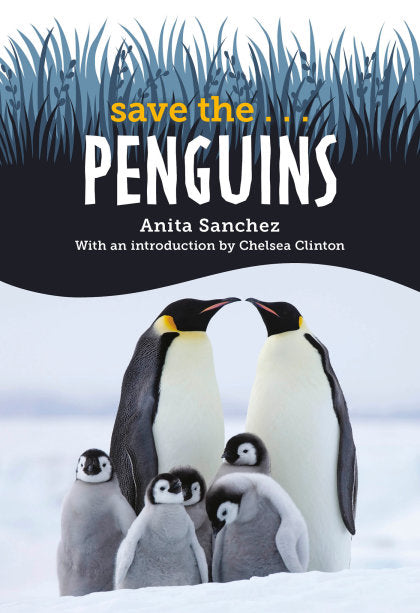 STANDARD