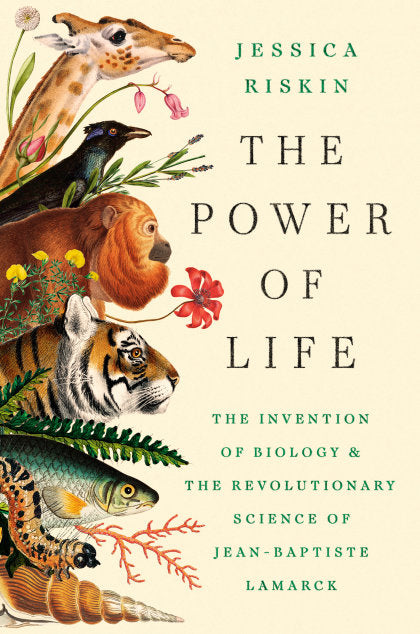 The Power of Life