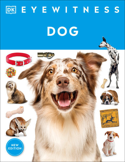 Eyewitness Dog