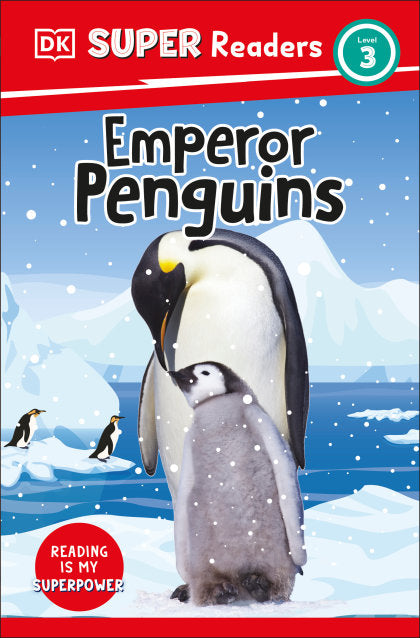 STANDARD