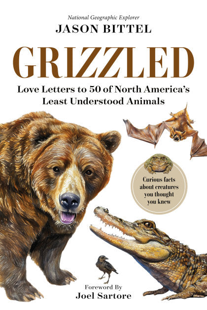 Grizzled