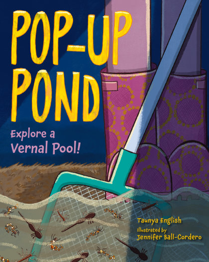 Pop-Up Pond