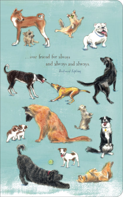 Write Now Journal: ". . . our friend for always and always and always" -Rudyard Kipling