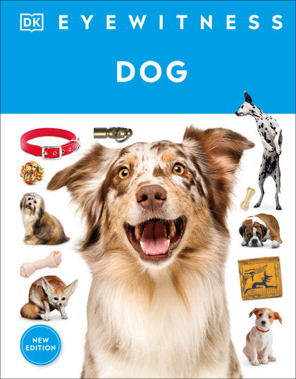 STANDARD
