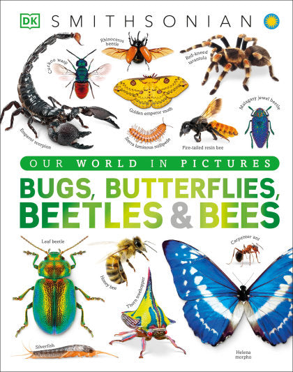 Our World in Pictures Bugs, Butterflies, Beetles and Bees