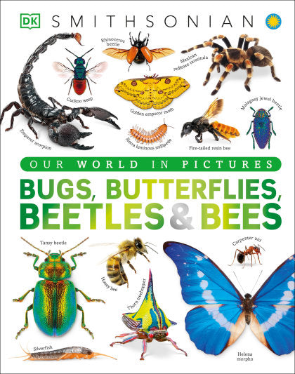 Our World in Pictures Bugs, Butterflies, Beetles and Bees