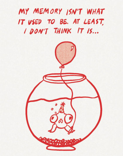 Humor Us Greeting Cards: Birthday - My Memory Isn't What It Used to Be (Pack of 6)