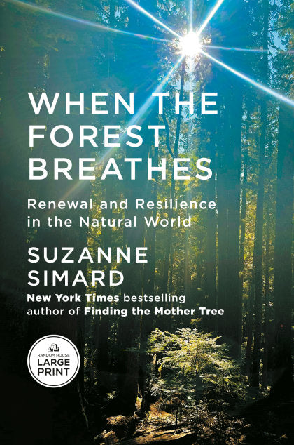 When the Forest Breathes