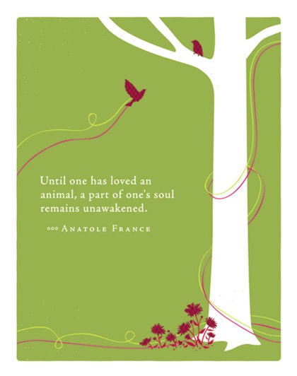 Positively Green Greeting Cards: Pet Sympathy - Until one has loved an animal (Pack of 6)