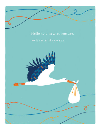 Positively Green Greeting Cards: Baby - Hello to a new adventure (Pack of 6)
