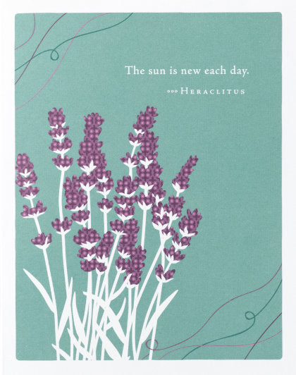 Positively Green Greeting Cards: Get Well - The sun is new each day (Pack of 6)
