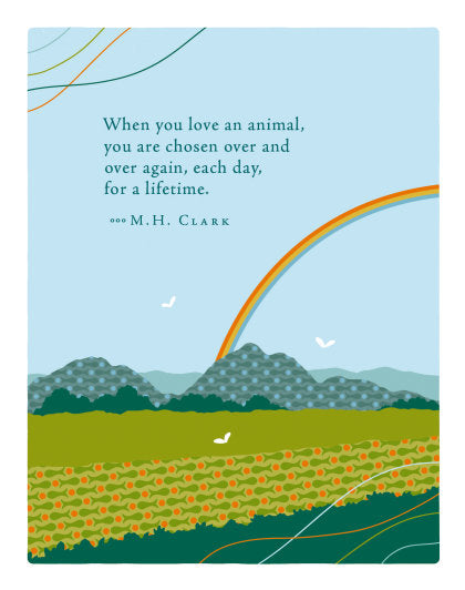 Positively Green Greeting Cards: Pet Sympathy - When you love an animal (Pack of 6)