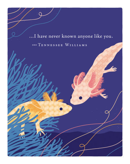 Positively Green Greeting Cards: Friendship - I have never known anyone like you (Pack of 6)