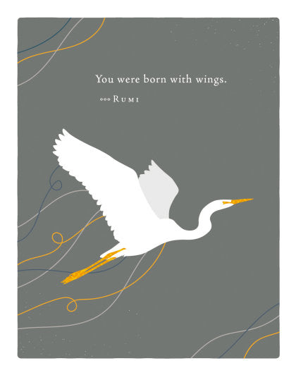 Positively Green Greeting Cards: Graduation - You were born with wings (Pack of 6)