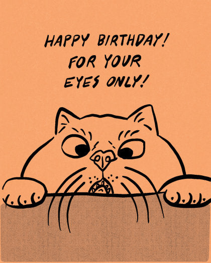 Humor Us Greeting Cards: Birthday - Happy Birthday! For your eyes only! (Pack of 6)