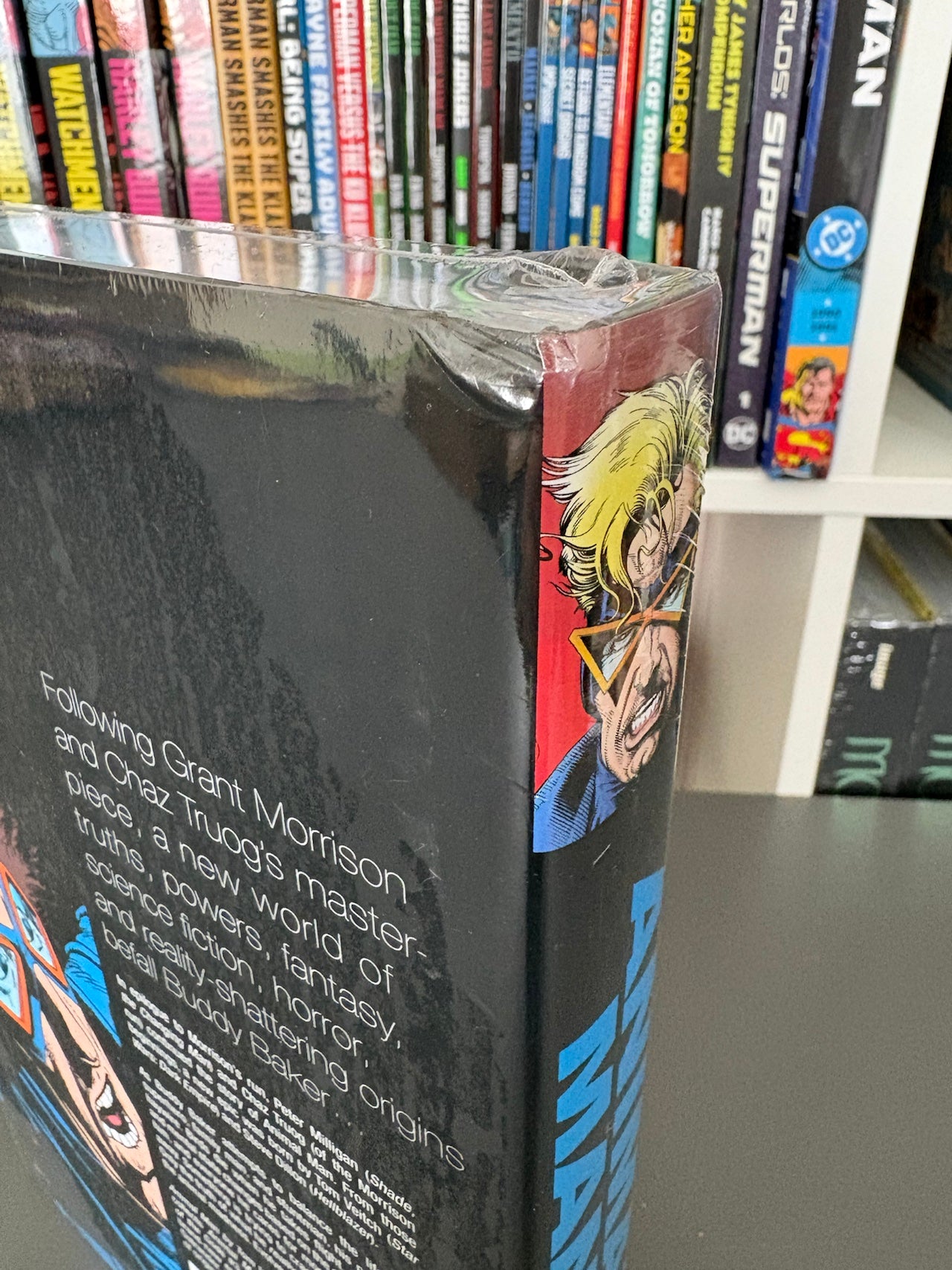Animal Man by Tom Veitch and Steve Dillon Omnibus (DENTED)