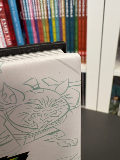 The Art of Rise of The Teenage Mutant Ninja Turtles (DENTED)